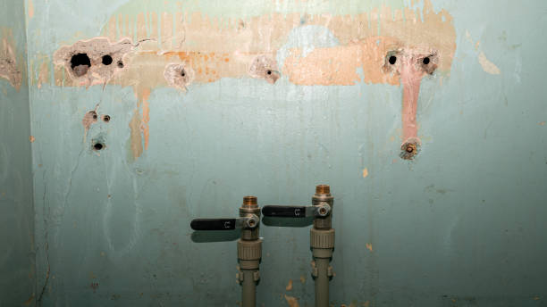 Best Emergency water damage restoration  in St Charles, MN