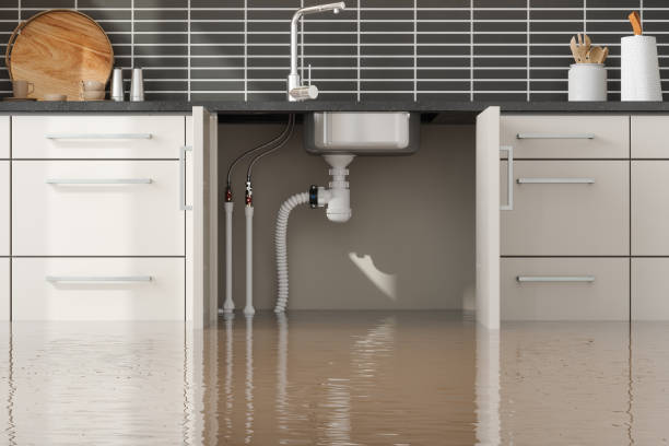 Best Basement water damage restoration  in St Charles, MN