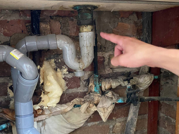 Best Water damage restoration near me  in St Charles, MN