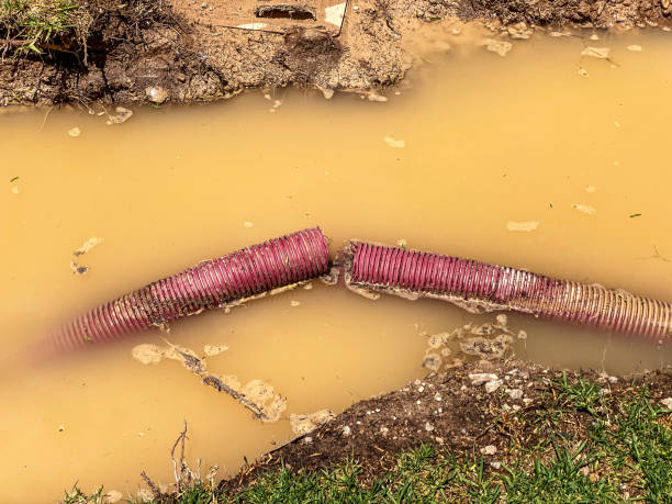 Best Sewage cleanup and water damage restoration  in St Charles, MN