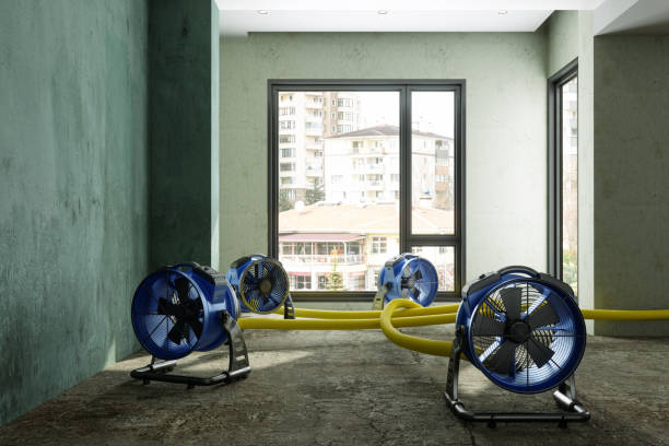 Best Water damage restoration insurance claims  in St Charles, MN